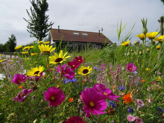 Toiletgebouw Hoeve Batenburg