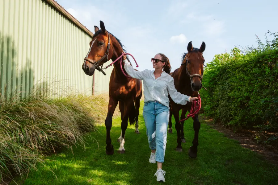 Deltagoud 20250726 MTC01862