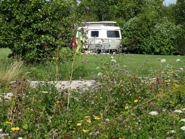 Caravan kamperen in de natuur