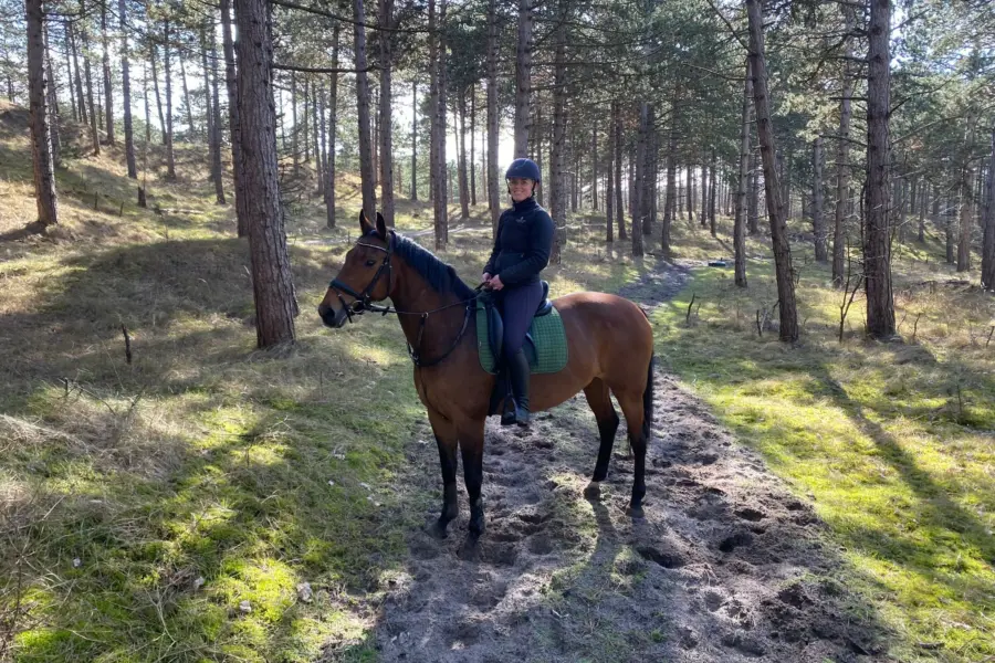 Whats App Image 2023 03 13 at 11 51 41