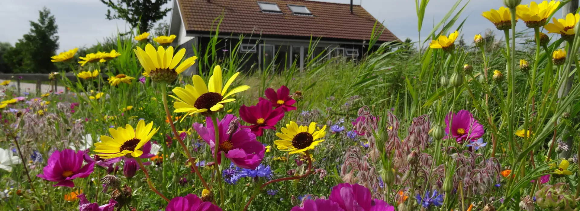 Toiletgebouw Hoeve Batenburg