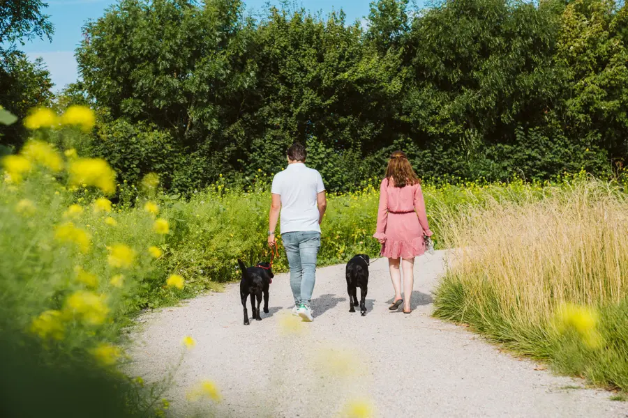 Wandelen met hond HB