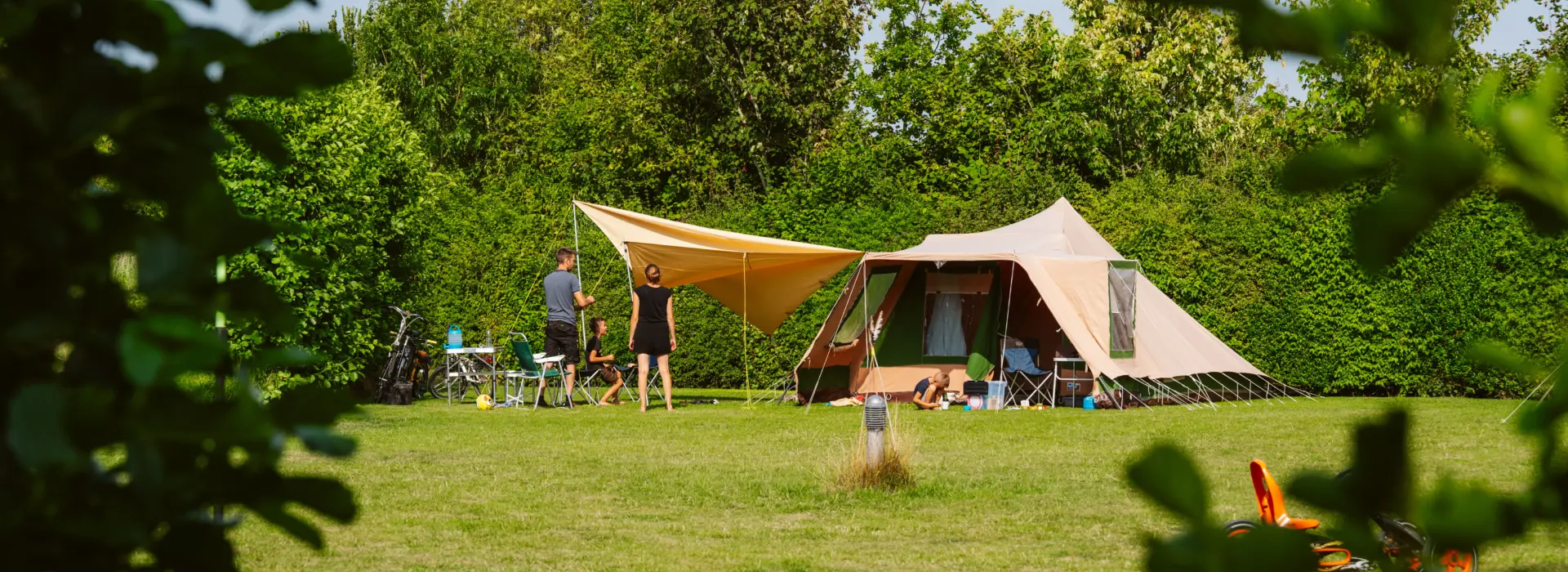 Deltagoud 20250726 MTC01753