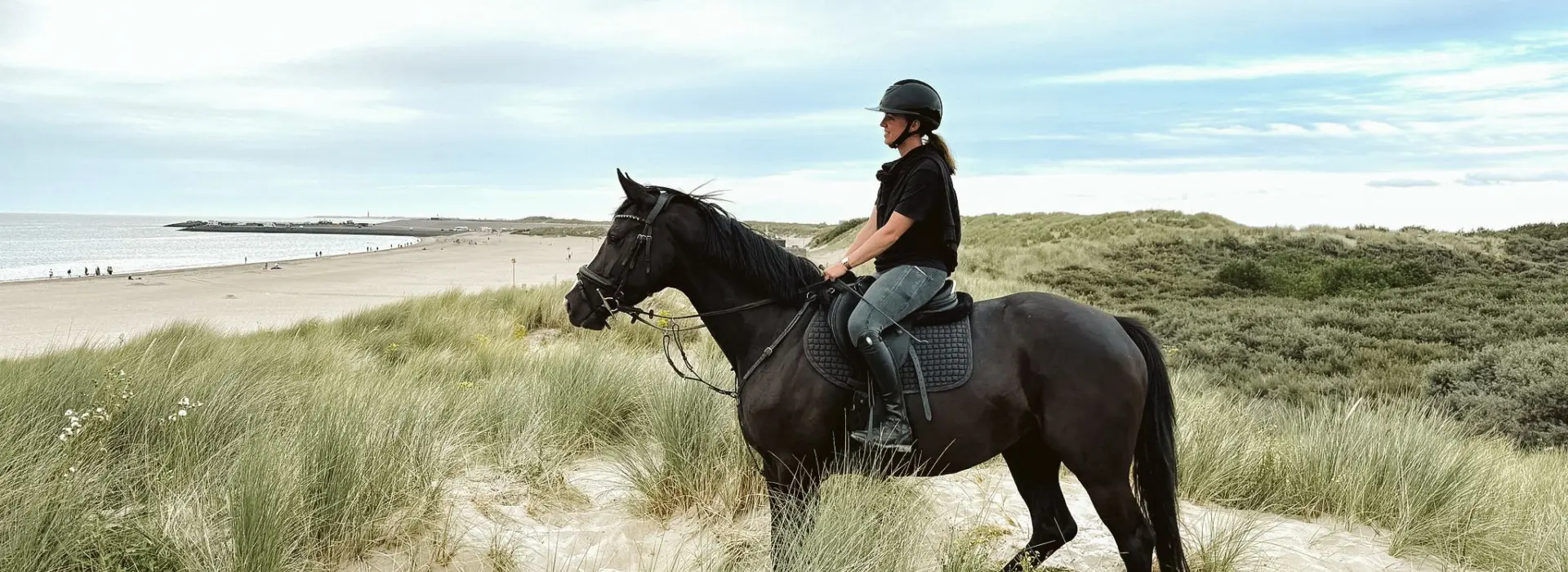 E635c0d2 283a 4a90 805b 3d6f00bc9dd1