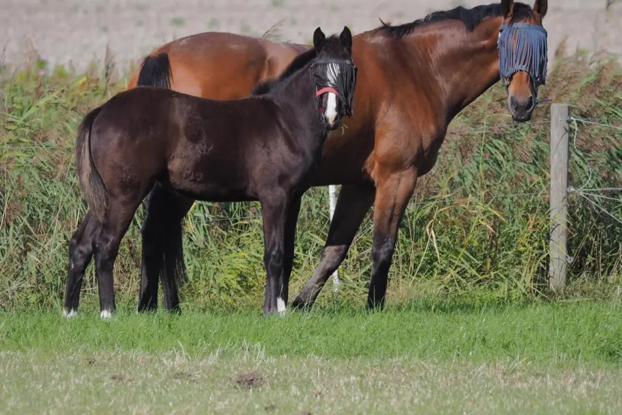 60d785a3 75d9 48c6 93be 2a521a8c027c