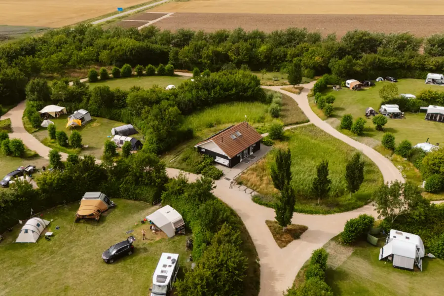 Deltagoud 20250726 DJI 20250726162604 0917 D