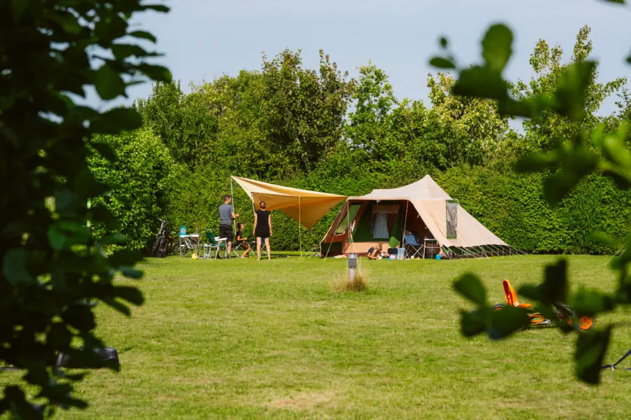 Deltagoud 20250726 MTC01753