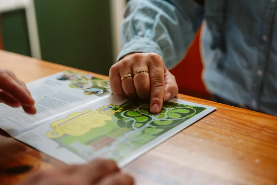 Deltagoud 20250726 MTC01465