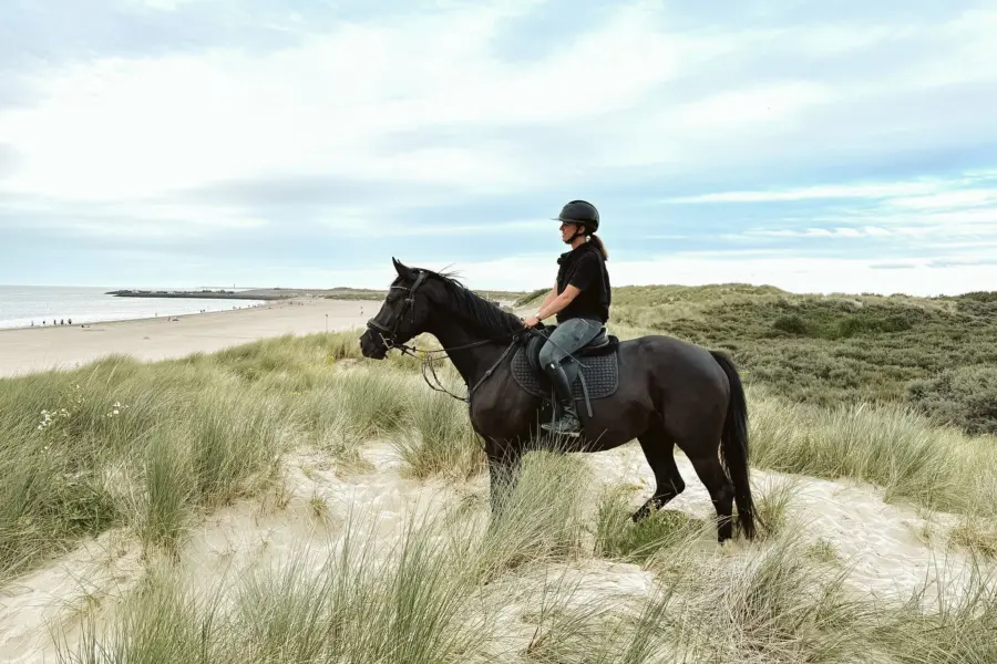 Domine en fleur op strand